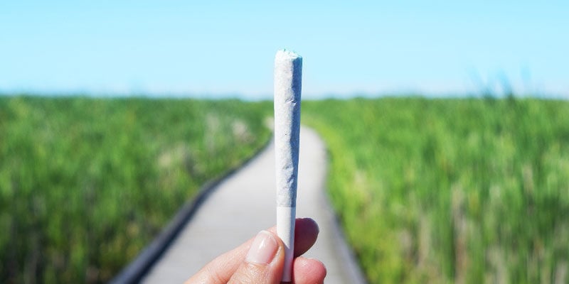 Hoeveel Wiet Zit Er Gemiddeld In Een Joint? - Zamnesia